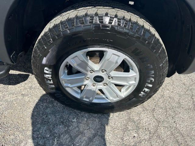 2024 Ford Ranger XL 4WD SuperCrew 5' Box