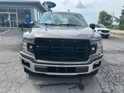 2019 Ford F-150 XLT 4WD SuperCrew 5.5' Box