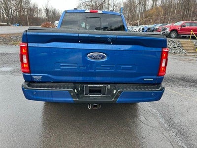 2023 Ford F-150 XLT 4WD SuperCrew 5.5' Box