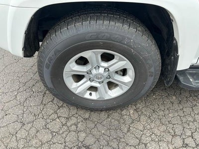 2024 Toyota 4Runner SR5 Premium 4WD (Natl)