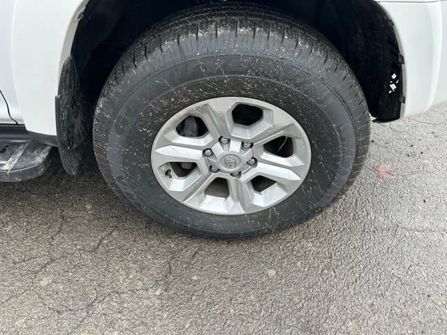 2024 Toyota 4Runner SR5 Premium 4WD (Natl)