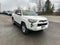 2024 Toyota 4Runner SR5 Premium 4WD (Natl)