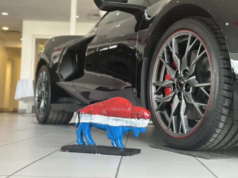 Tradition Geneva Buffalo